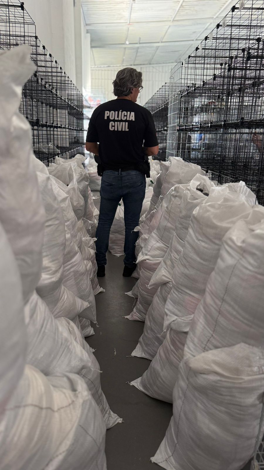 Operação em SC desmonta centro de distribuição de roupas falsificadas avaliado em R$ 1,5 milhão