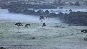 Geada e quase 0ºC marcam o amanhecer de quarta-feira em SC