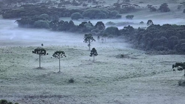 Geada e quase 0ºC marcam o amanhecer de quarta-feira em SC