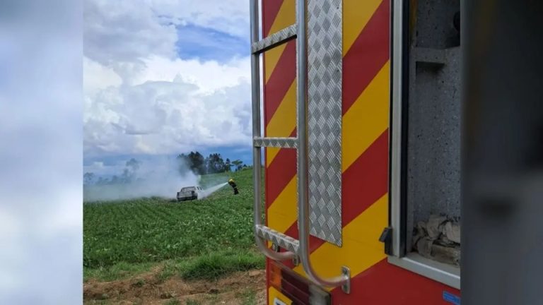 Incêndio atinge galpão após uso de fogo para eliminar vespas em Joaçaba