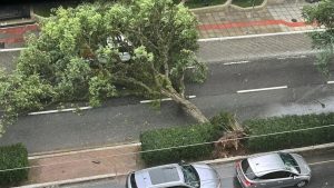 Temporal provoca novo apagão em Santa Catarina e deixa mais de 150 mil imóveis sem energia