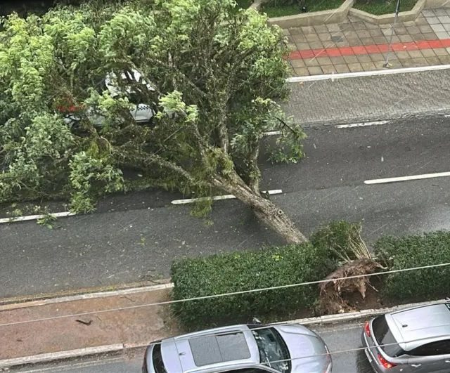 Temporal provoca novo apagão em Santa Catarina e deixa mais de 150 mil imóveis sem energia