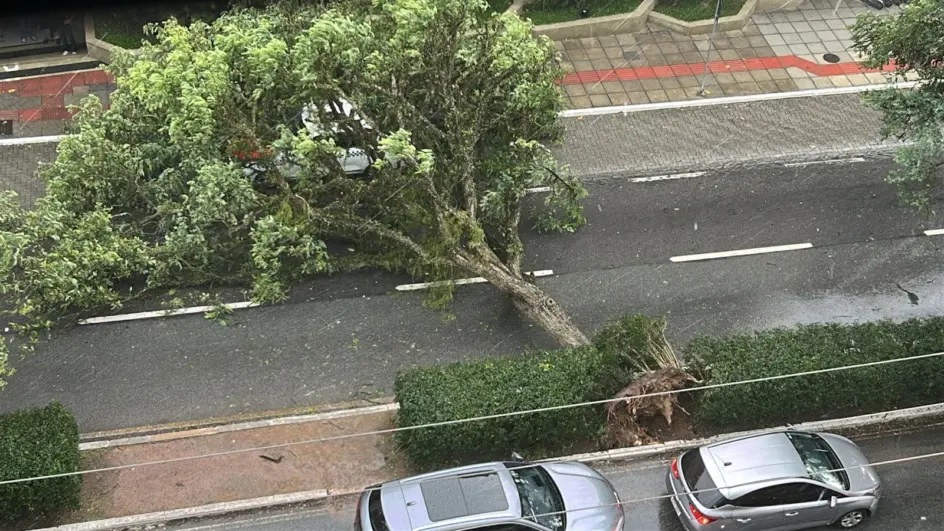 Temporal provoca novo apagão em Santa Catarina e deixa mais de 150 mil imóveis sem energia