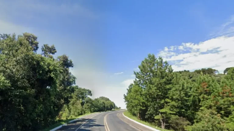 Duplicação da BR-153: Ibama emite licença prévia para trecho de 198 km entre SC e PR