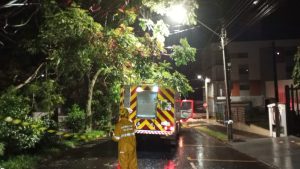 Temporal no Oeste e Meio-Oeste: Bombeiros atendem mais de 60 ocorrências de quedas de árvores e destelhamentos