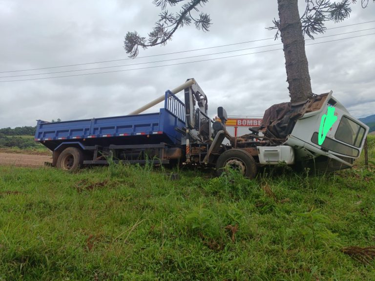 Motorista morre após caminhão colidir contra árvore no Oeste