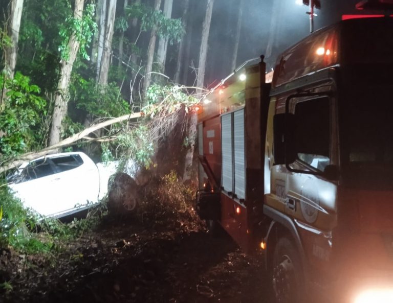 Veículo sai da pista e colide contra árvores no interior de Piratuba