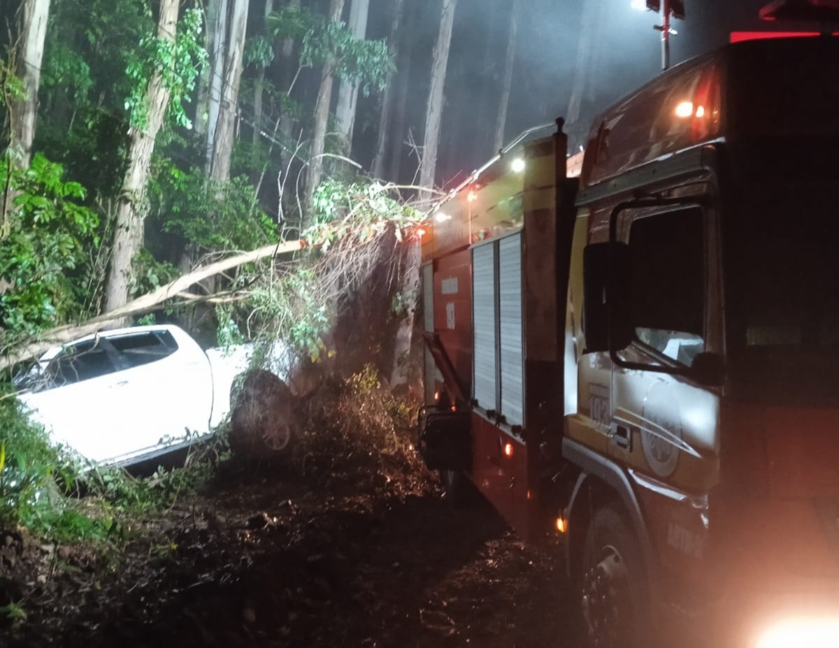 Veículo sai da pista e colide contra árvores no interior de Piratuba