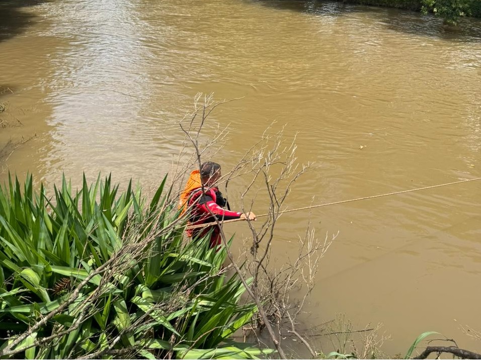 Mulher de 37 anos desaparece no interior de Videira e mobiliza equipes de busca