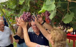 De avós para netos: Pinheiro Preto abre I Vindima unindo a tradição dos pioneiros à inovação das novas gerações
