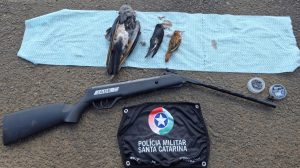 Polícia Ambiental flagra caça ilegal de aves em área turística na região