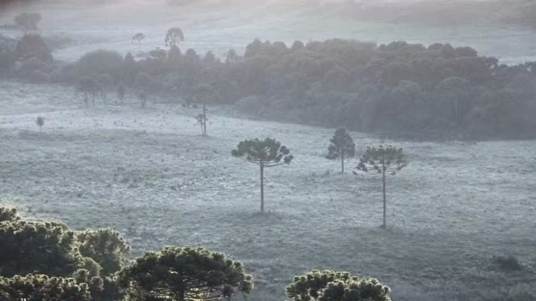 Em pleno verão, quarta-feira amanhece com cara de inverno e geada em SC