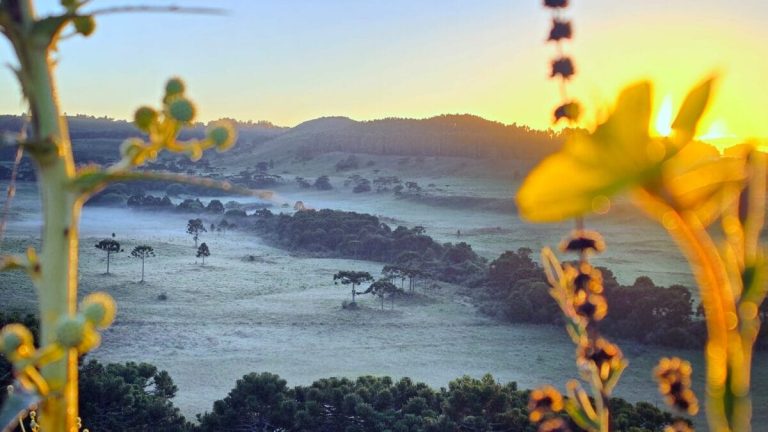 Defesa Civil emite alerta para mudança no tempo com queda de temperaturas em SC