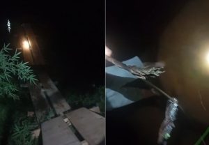 Pinguela improvisada se rompe e deixa quatro feridos