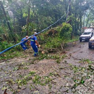 Temporal em Videira: Defesa Civil atendeu a mais de 20 chamados