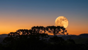 Espetáculo no céu: “Lua de Neve” ilumina a noite deste domingo no Meio-Oeste