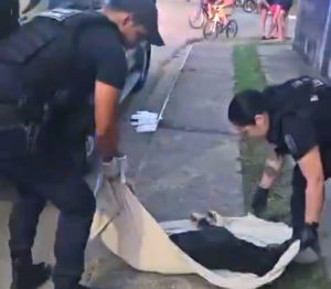 Cão é jogado de prédio e encontrado morto em SC