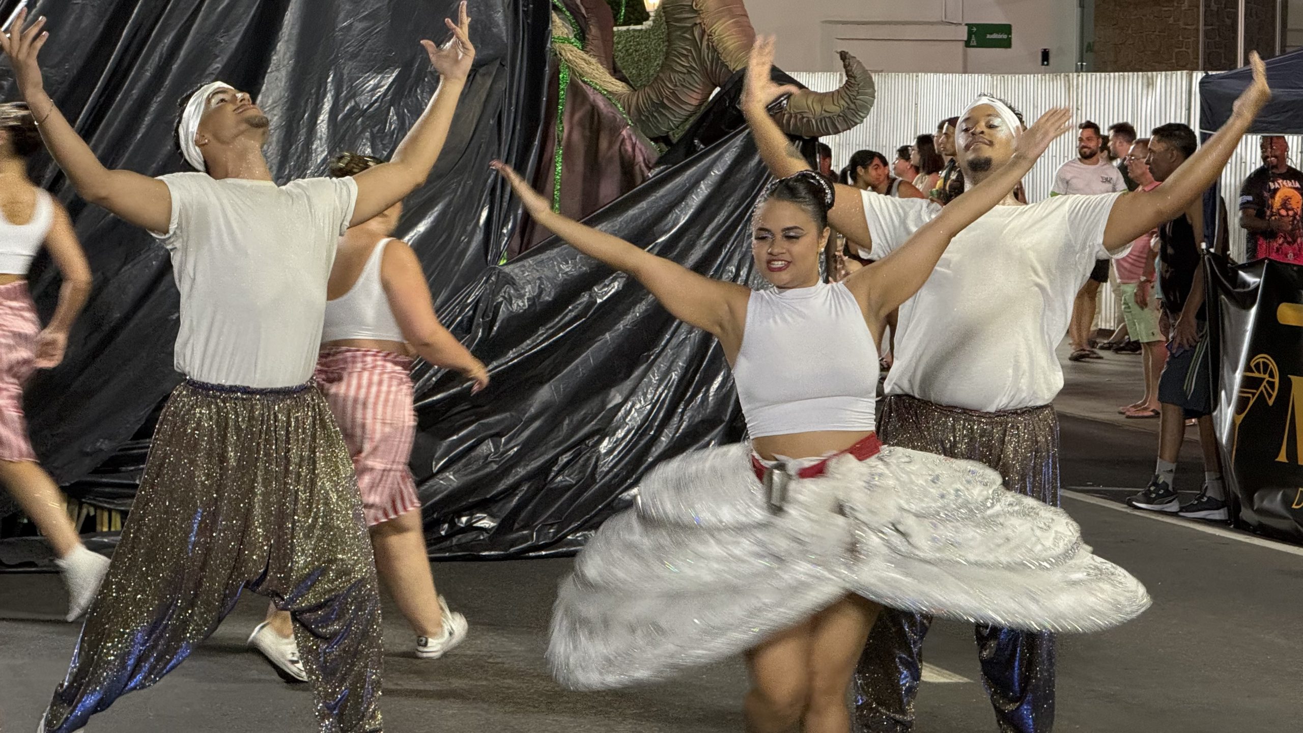 A “Veia Negra” do Carnaval: Jorge Zamoner revela o histórico enredo da Acadêmicos do Grande Vale