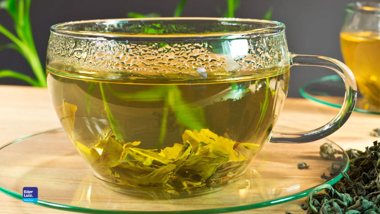 Fiocruz lança primeiro fitoterápico de quebra-pedra para o SUS