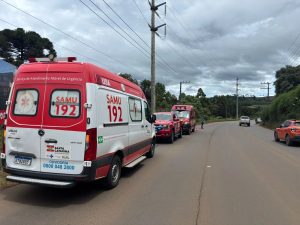 Homem sofre ataque de abelhas e é socorrido em estado grave em Caçador