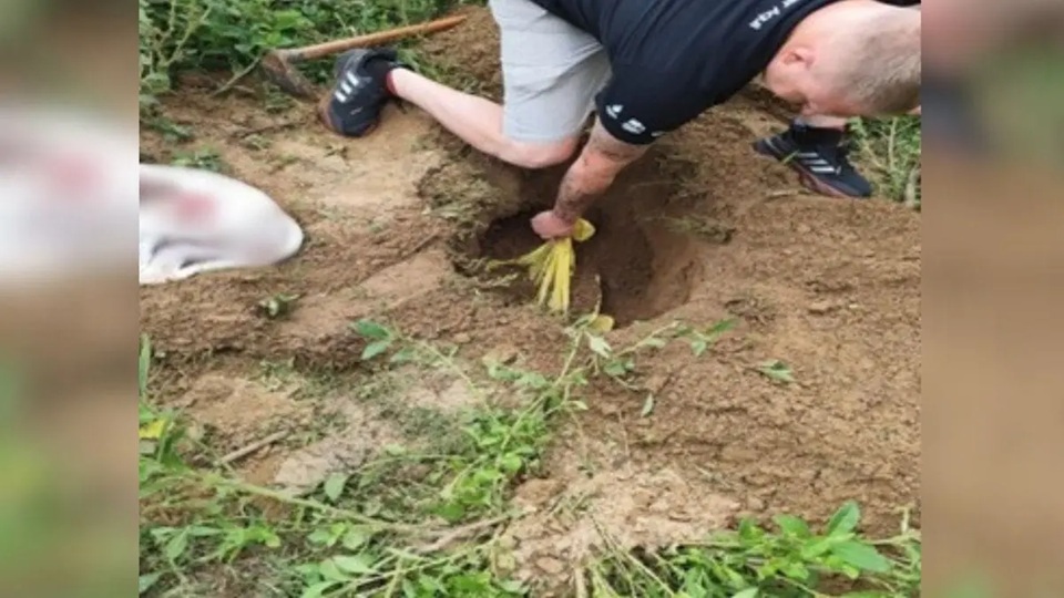 Justiça mantém presos suspeitos de matar cães com golpes de machado em SC