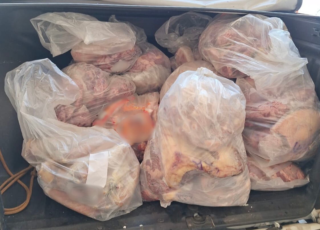 Vigilância Sanitária retira quase 700 quilos de alimentos impróprios de comércio no Oeste