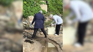 Crime ambiental: Laudo aponta contaminação fecal 160 vezes acima do limite em praia de SC