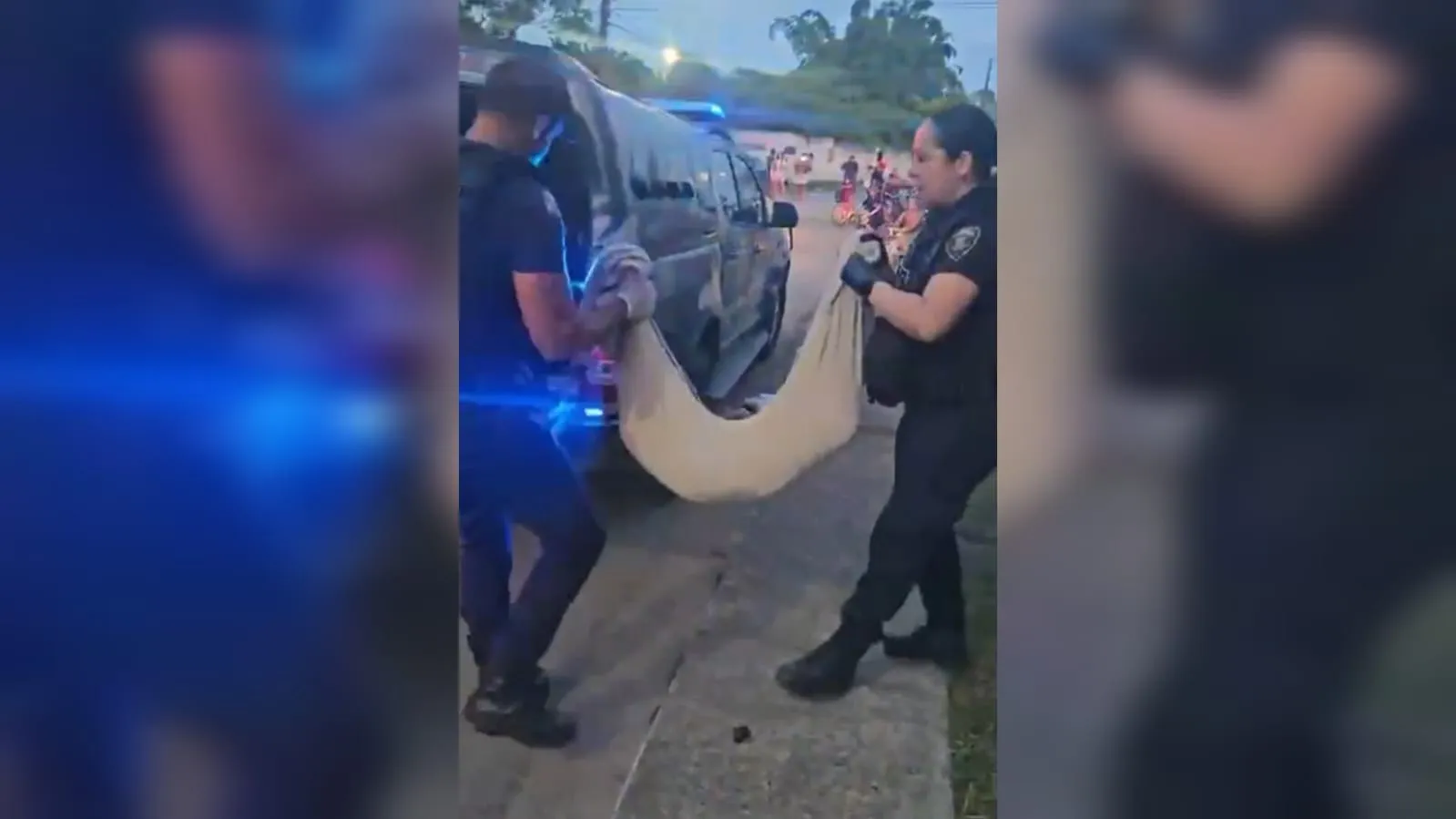 Caso do cão jogado de prédio: Jovem de 19 anos é preso por maus-tratos e dois adolescentes são apreendidos