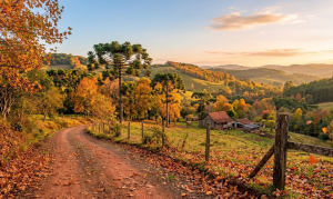 Outono 2026 em SC: Estação terá temperaturas acima da média, pouca chuva no Oeste e alerta para ciclones