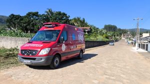 Idoso morre ao levar 100 picadas de abelha em SC