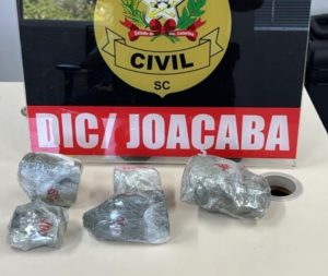 Polícia Civil apreende quase 1 kg de crack e prende mulher por tráfico em Joaçaba