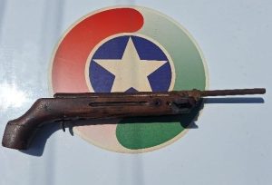 Homem é preso por violência doméstica e maus-tratos contra criança em Campos Novos