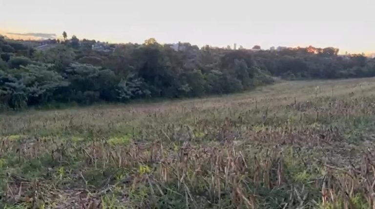 Quatro pessoas são presas ao tentar esconder corpo em área de mata em Chapecó
