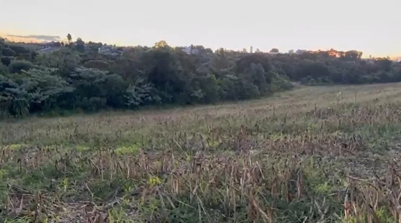 Quatro pessoas são presas ao tentar esconder corpo em área de mata em Chapecó