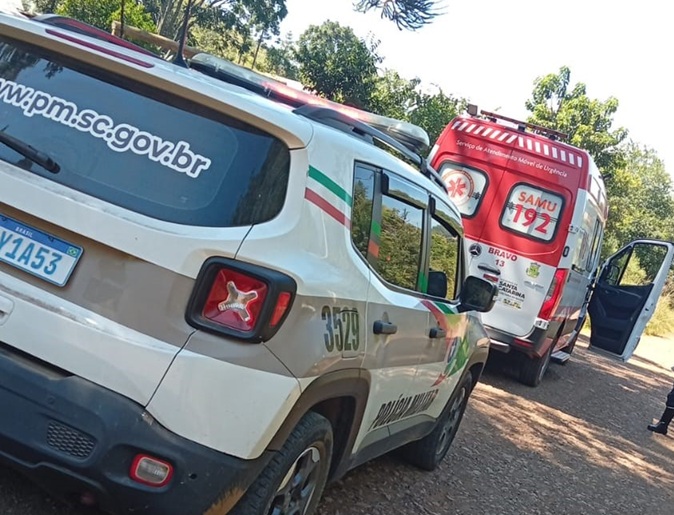 Trabalhador morre durante corte de pinus em Vargem