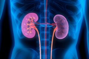 OMS emite alerta e doença renal vira prioridade global
