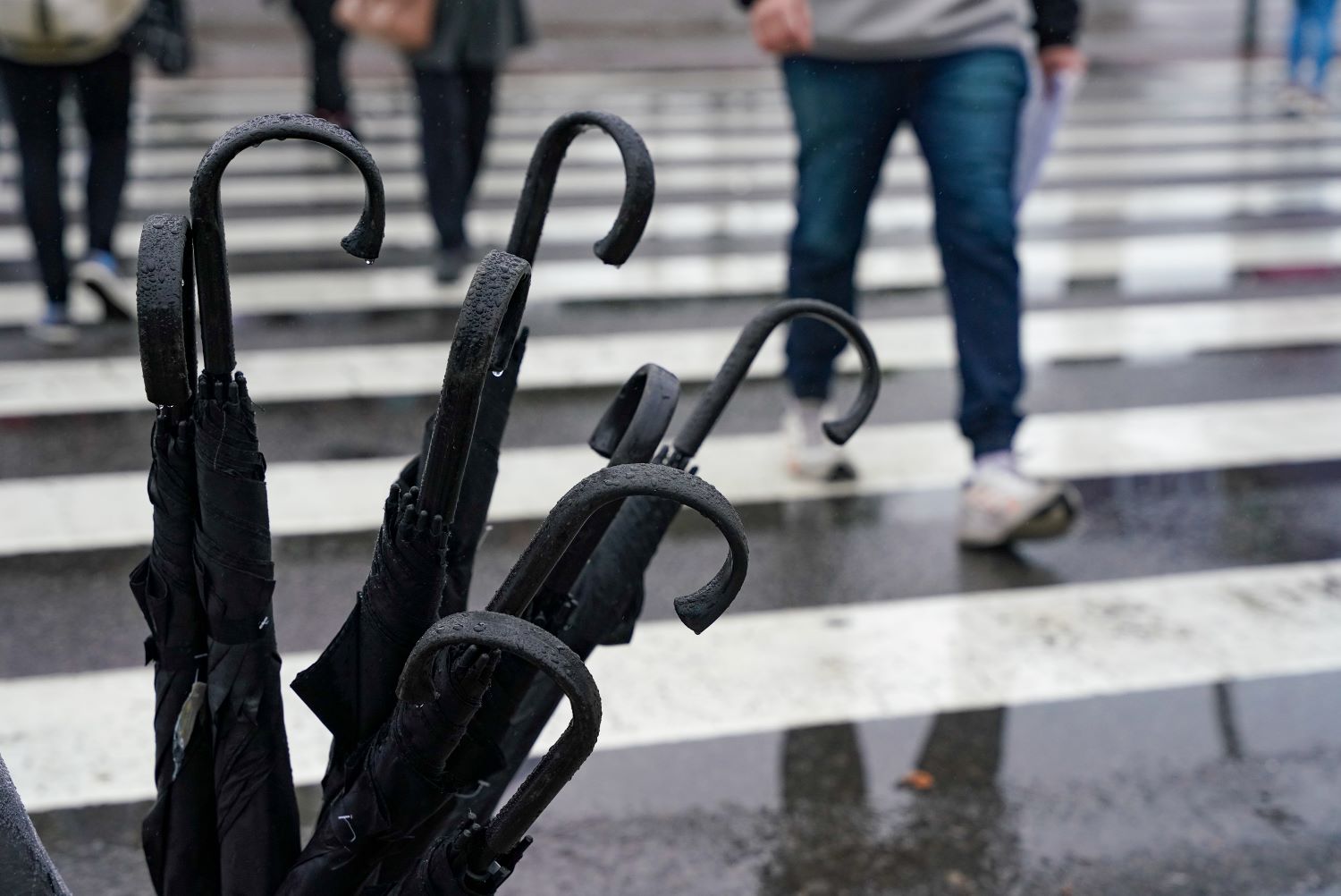 Com atuação do El Niño, SC terá mais chuvas no segundo semestre do ano