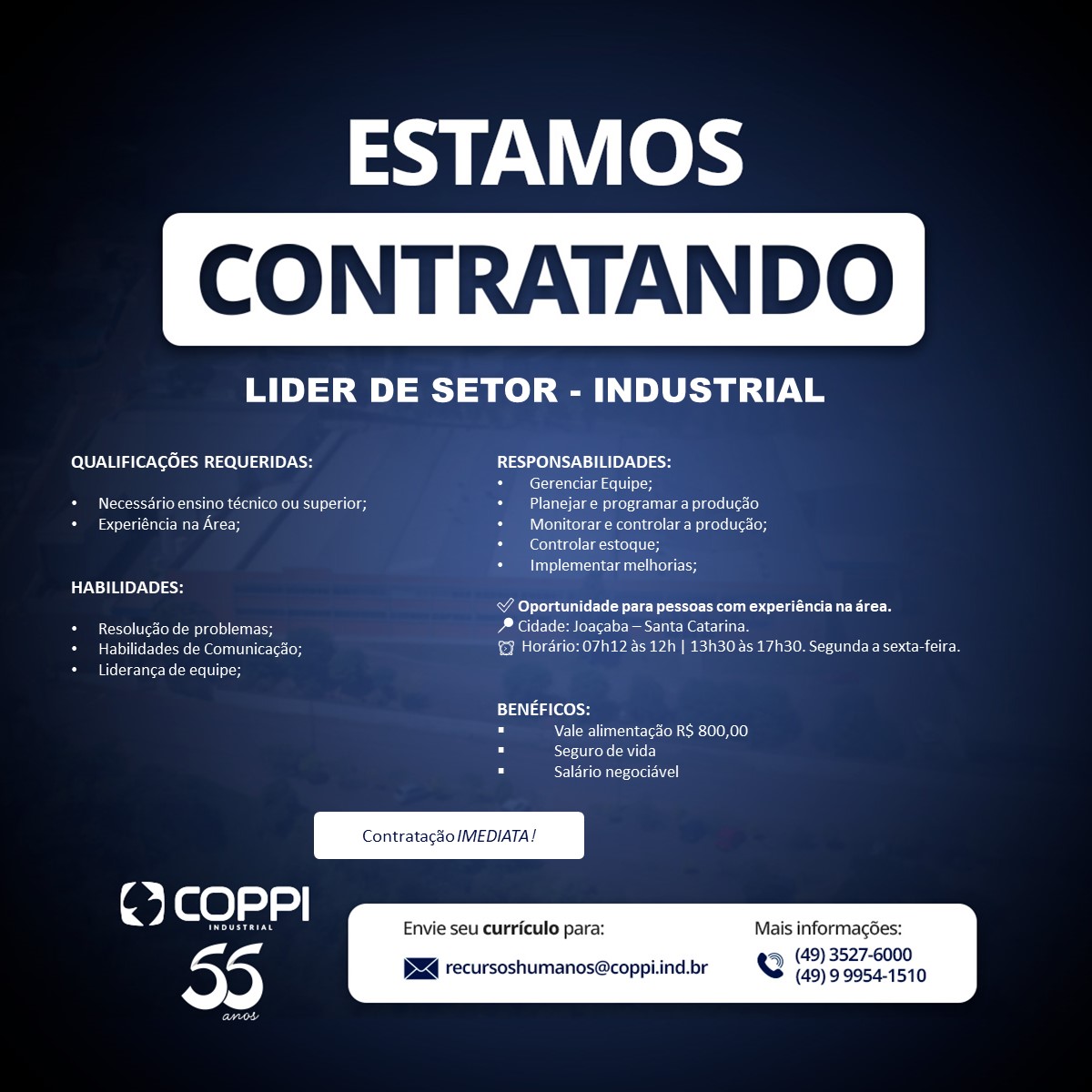 Lider de Setor – Industrial