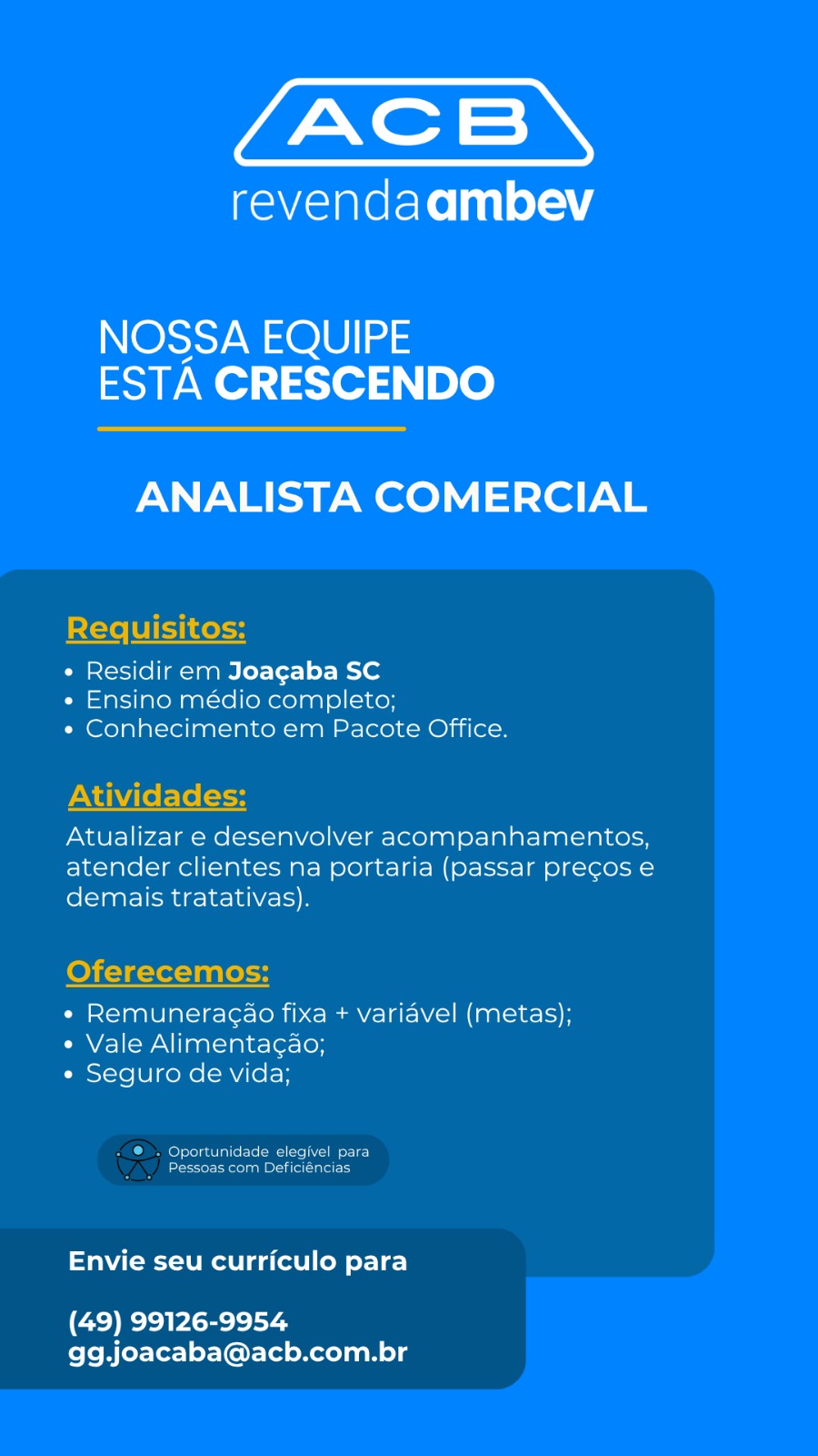 Analista Comercial