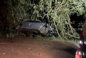 Motorista de Jetta abandona veículo após colisão contra árvores em SC