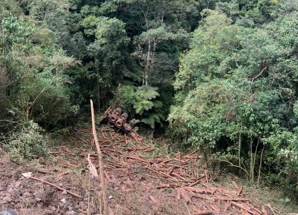 Motorista sobrevive após carreta cair em ribanceira de 50 metros em Monte Castelo