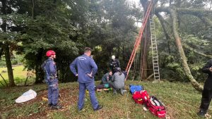 Homem é resgatado após ficar preso a 10 metros de altura em árvore no Oeste