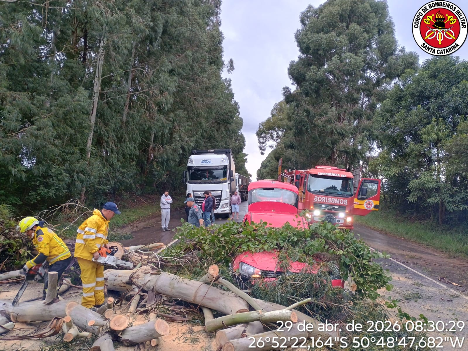 Árvore cai sobre rodovia e atinge veículo na SC-350