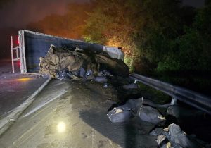 Caminhão carregado com carvão ativado tomba na BR-153
