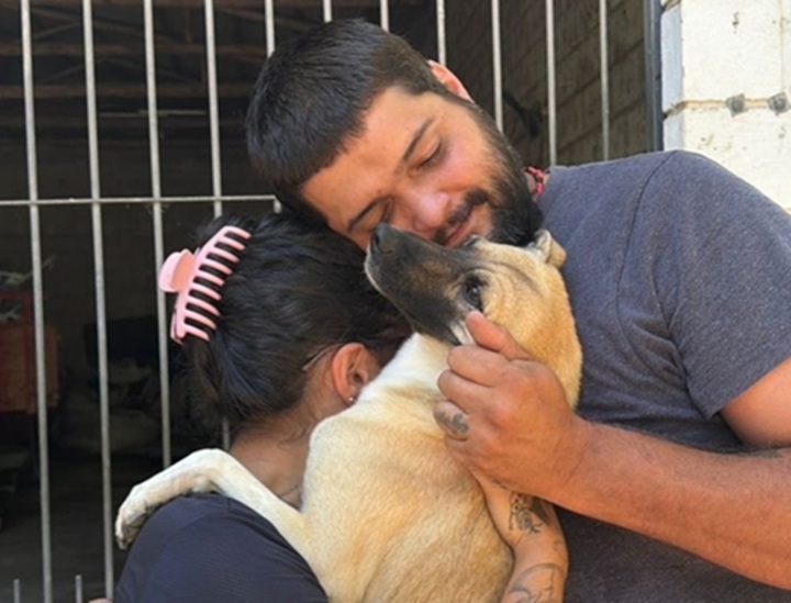 Cão sumido há 4 meses reencontra donos em mutirão em SC