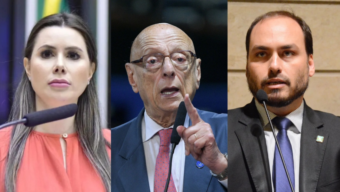 Carol De Toni lidera corrida ao Senado em Santa Catarina, aponta pesquisa