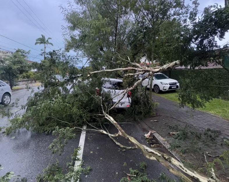 Temporal com granizo e ventos fortes causa estragos em SC