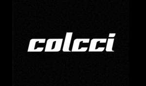 Consultora de Moda