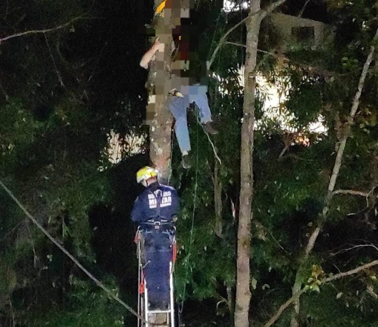 Trabalhador fica suspenso a 15 metros de altura após acidente durante corte de árvore em Herval d’Oeste