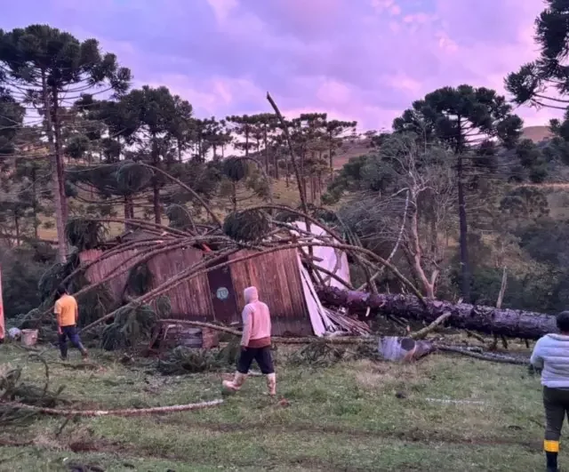 Tempestade em SC tem sinais de rotação e Defesa Civil investiga possível tornado